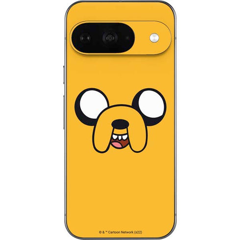 Adult Swim Adventure Time Jake The Dog Google Pixel 9 Skin